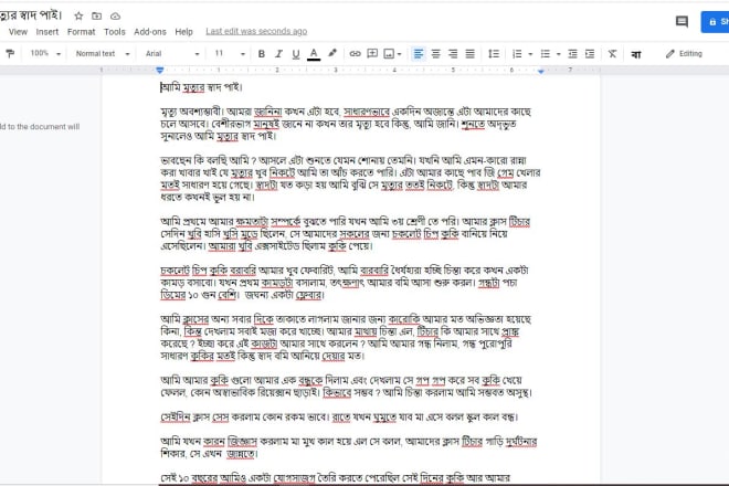 I will do professional bangla to english translation