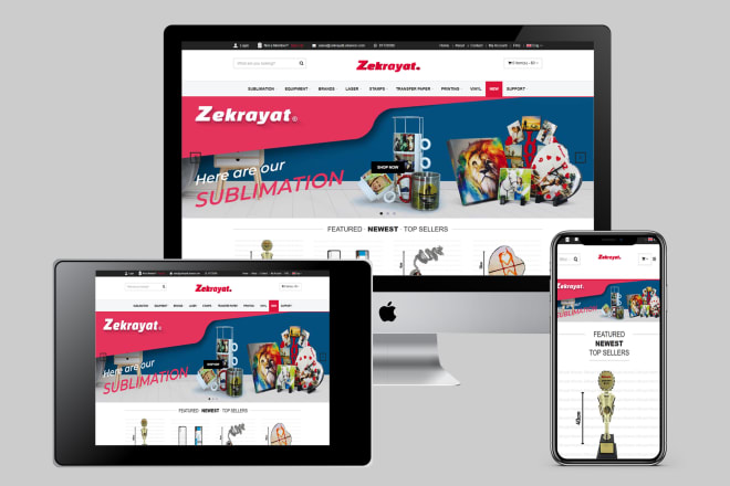 I will do responsive web design and build full website