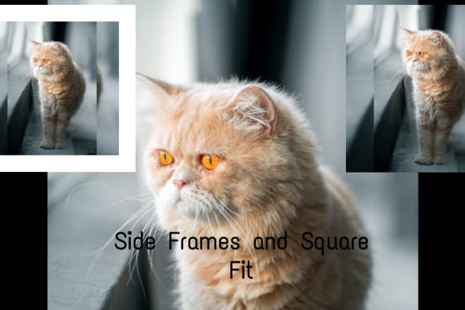 I will do square instagram fit to your pictures