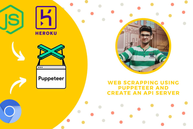 I will do web scrapping and create an API server