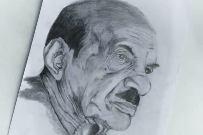 I will draw realastic pencil portraits from photos