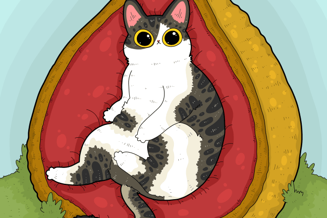 I will draw your cat with my funny cartoon style