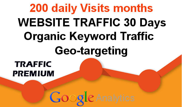 I will drive 30 days website traffic, real targeted visitors