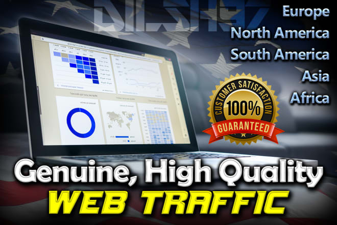 I will drive genuine USA and other countries targeted web traffic