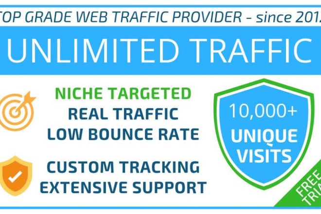 I will drive unlimited web traffic to your site for 6 months