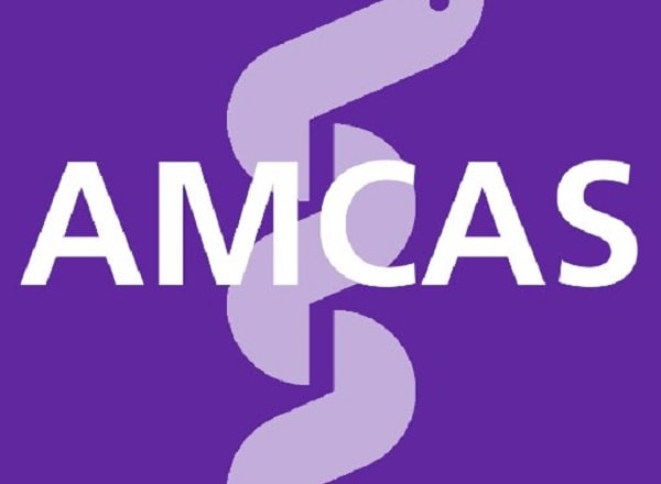 I will edit amcas personal statement, activity lists, and secondary essays