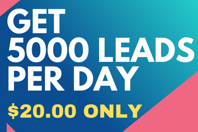 I will generate 5000 leads per day for your business email marketing list