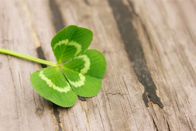 I will give you good luck and help you get rid of bad luck