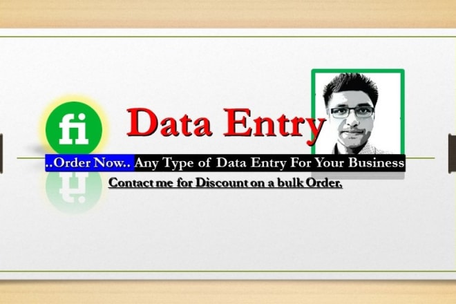 I will online data entry for your business