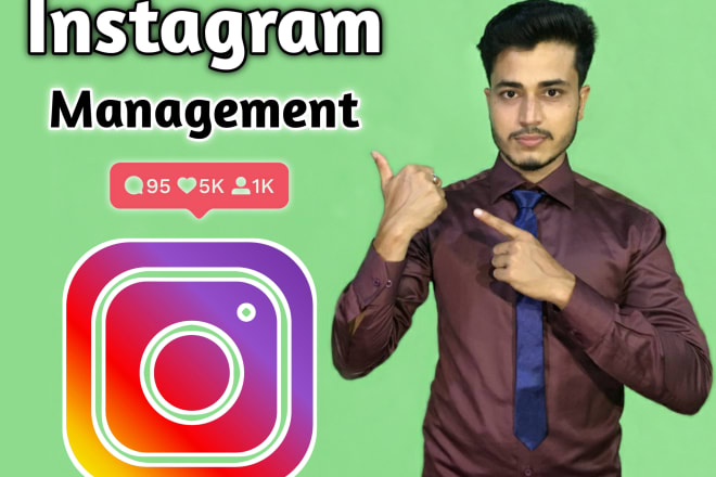 I will professionally manage your instagram business page