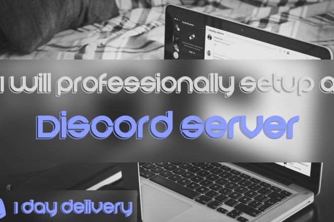 I will professionally setup a discord server