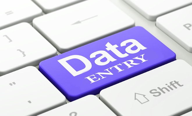 I will provide data entry services for large and small projects