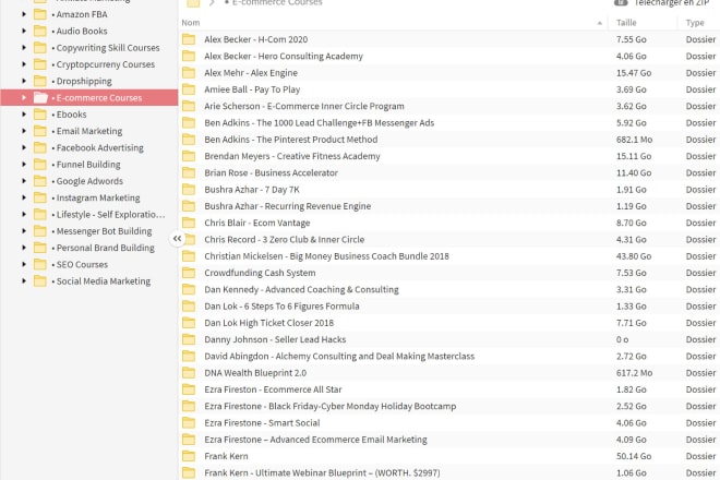 I will provide you more then 250 dropshipping and SEO courses