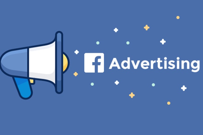 I will set up your facebook ads campaigns
