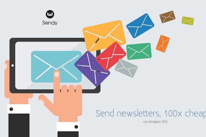 I will setup sendy email newsletter application on your server