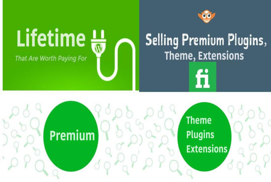 I will setup wordpress premium plugins, themes, extensions