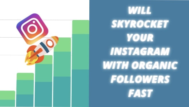 I will skyrocket your instagram growth with organic followers