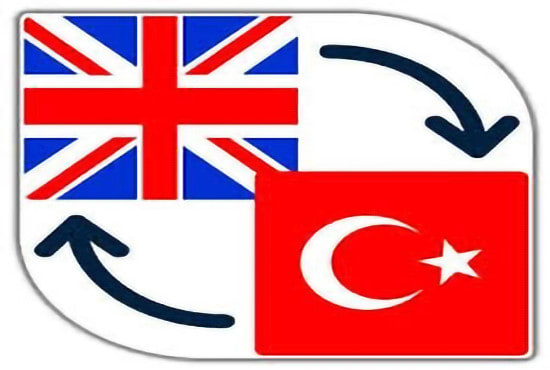 I will turkish to english, english to turkish translation