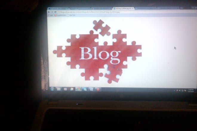 I will turn your blog into a great money spinner
