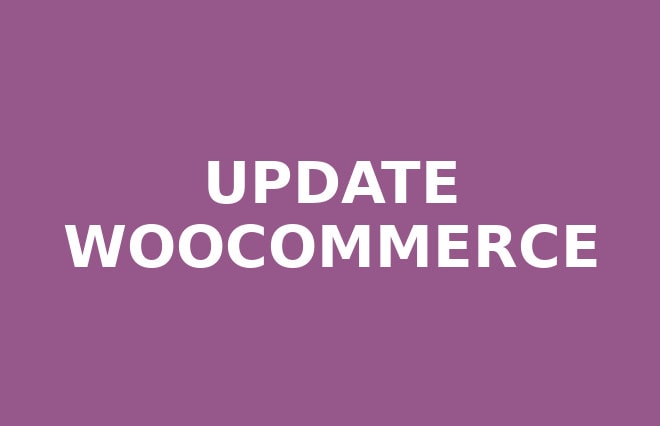 I will update woocommerce to latest version without site damage