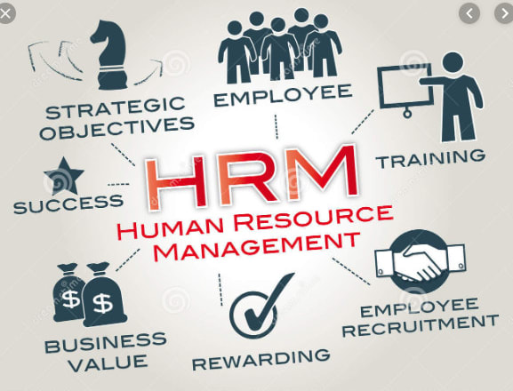 I will write human resource management reports and paper summaries