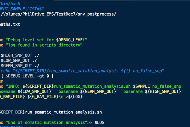I will automate your tasks with bash scripts