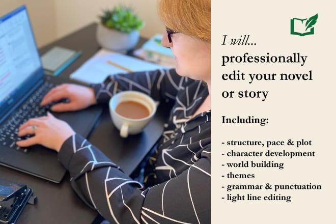I will be your professional book or story editor