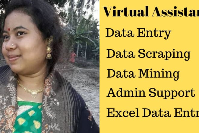 I will be your professional virtual assistant for data entry