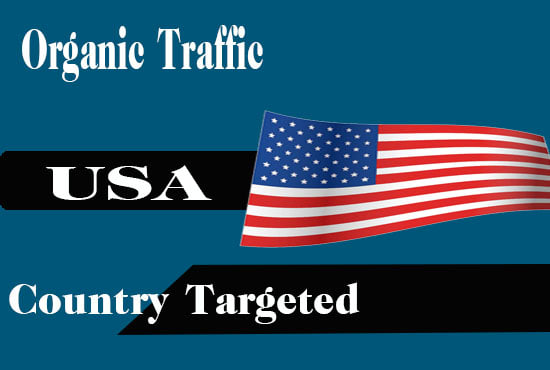 I will bring real google usa visitors targeted web traffic