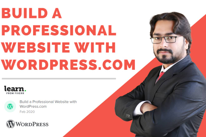 I will build a professional website with wordpress com