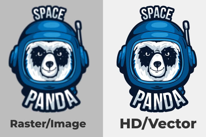 I will change,jpeg,png to vector hd file ai,eps,svg