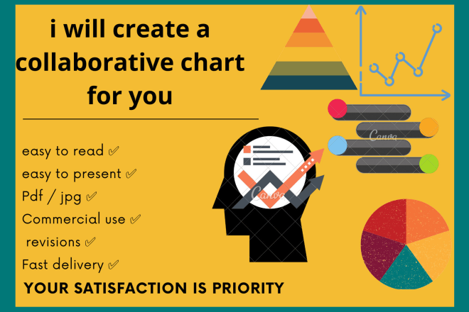 I will create a professional mind map,flow chart and info graphic