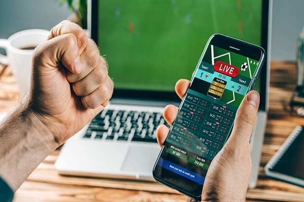 I will create a sport betting site, website and app making more earning app