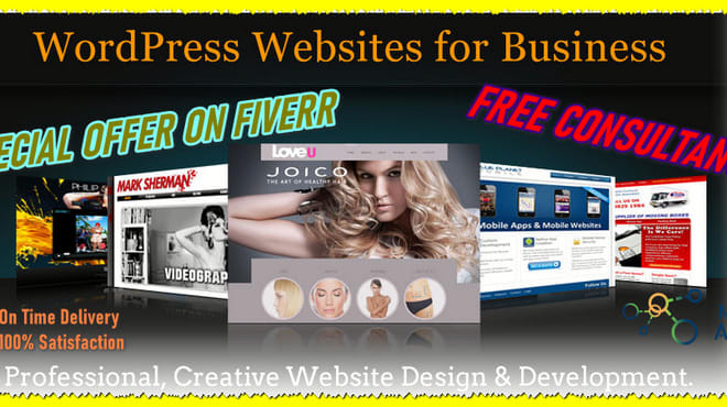 I will customize or create professional wordpress wesbite design