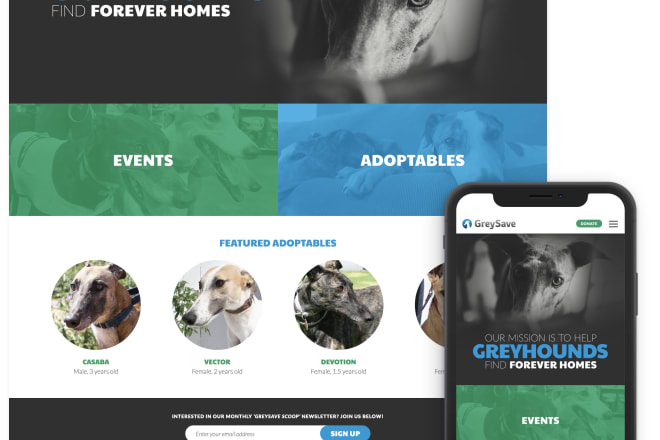 I will design a logo and a website for your pet adoption service