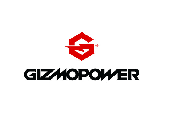 I will design computer logo with satisfaction guaranteed