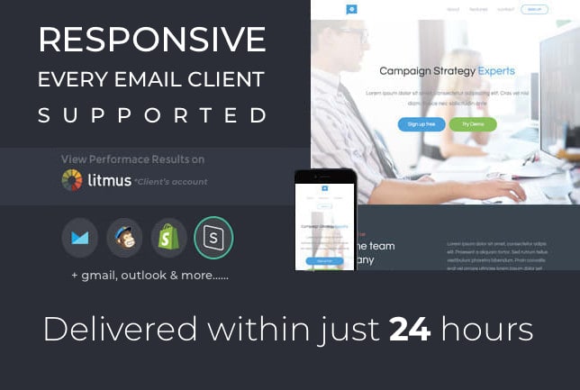 I will design responsive email template