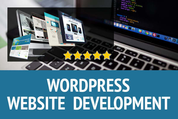I will develop a responsive wordpress website