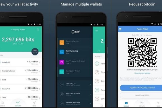 I will develop crypto wallet app, bitcoin wallet app, exchange web and app