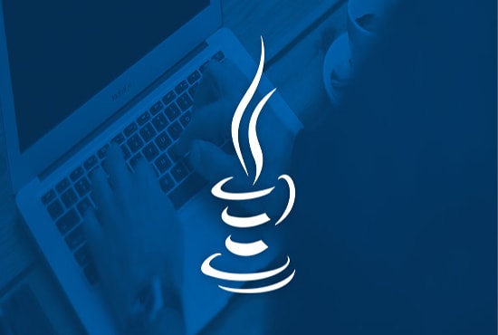 I will develop professional java web,desktop application