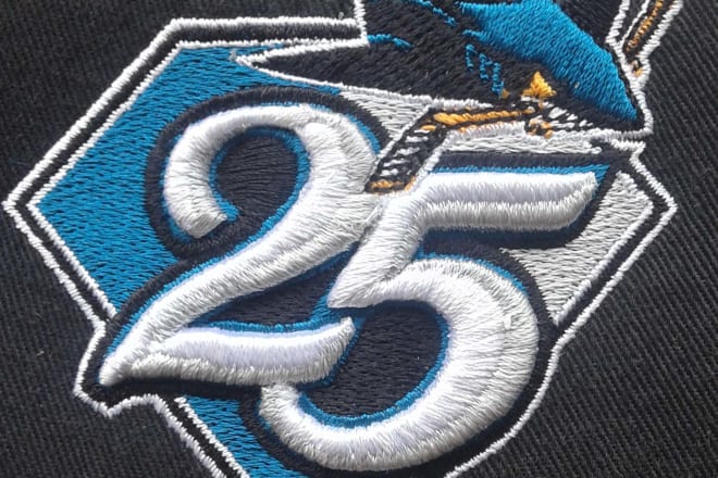 I will do embroidery digitizing in 5 hours