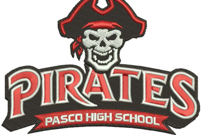 I will do embroidery digitizing,punching in dst and emb