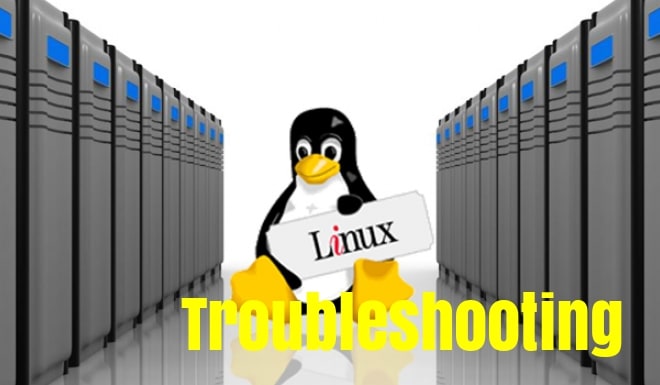 I will do linux server administration and security