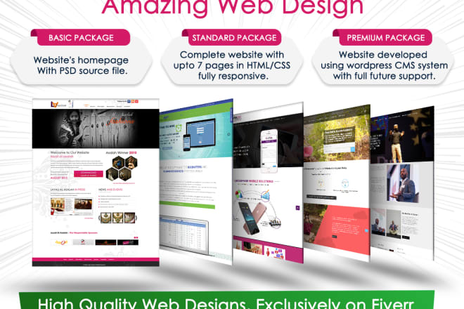 I will do web design jobs