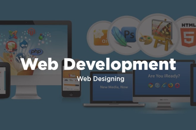 I will do website development or do laravel, react web application