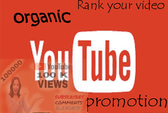 I will do youtube video promotion and SEO specialist