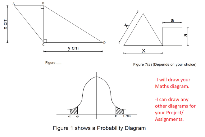 I will draw any diagram for assignment and exam paper