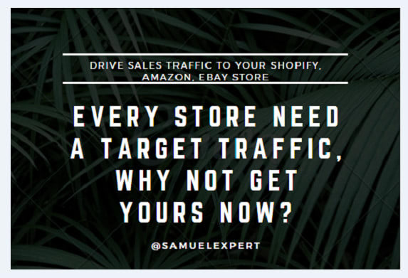 I will drive sales traffic to your shopify, amazon, ebay store, dropshipping store