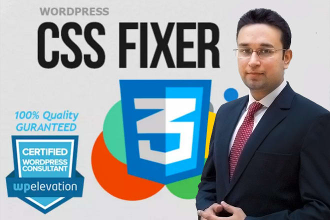 I will fix wordpress CSS quick