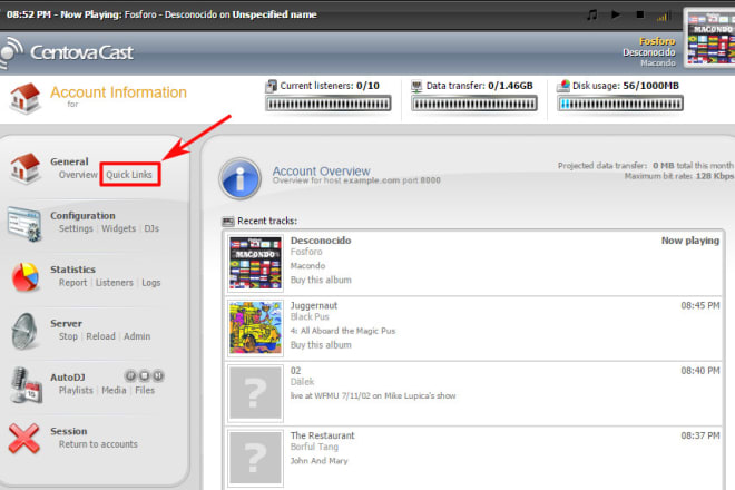 I will give shoutcast or icecast with centova autodj internet radio